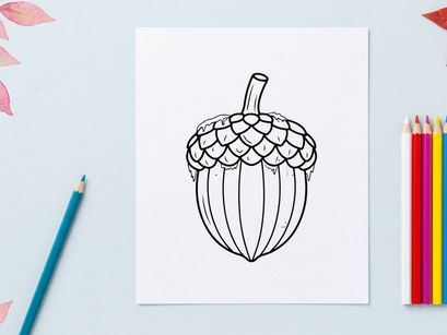 Cute acorn illustration for autumn and nature themes. Hand-drawn botanical design for educational or decorative use.