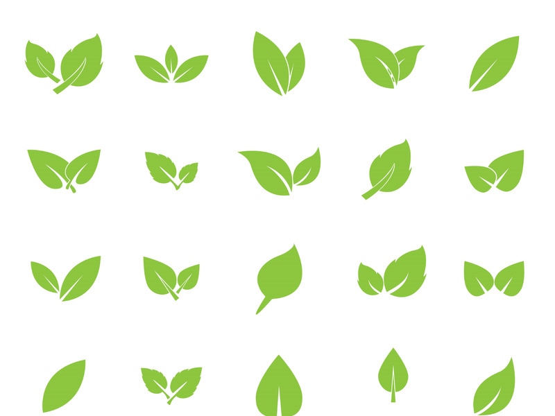 Leaf logo vector icon design template