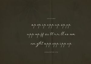 Sentaphira | Handwritten Vintage Script