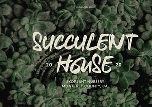 Klorofeel - Elegant Font