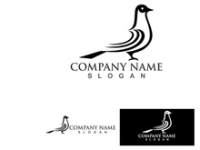 Pigeon Bird Logo Vector Icon V2
