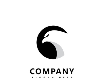 Eagle logo icon  vector template preview picture