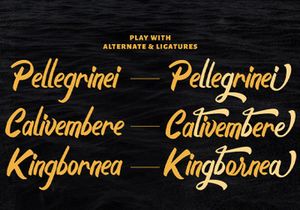 Boyna - Bold Script Font