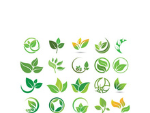 Logos of green tree leaf ecology nature element vector