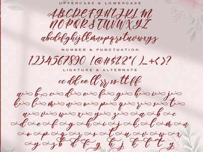 Angelina Rahmy - Modern Script Font