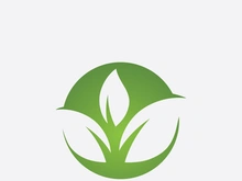 Green leaf ecological element vector icon logo
