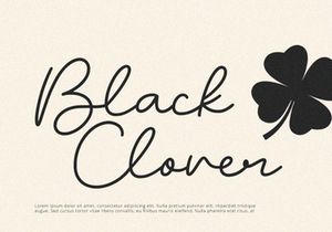 Blush - Script Font