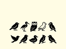 10 Birds vector icon