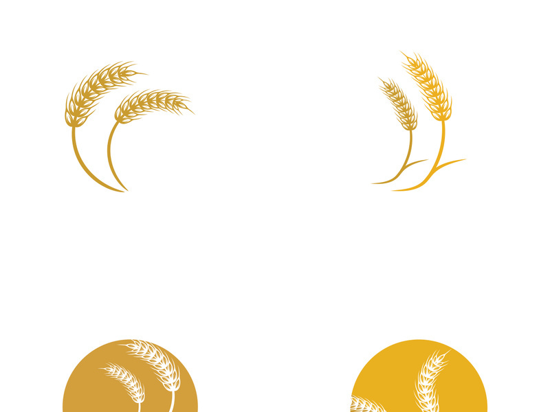 Organic wheat farm logo template.