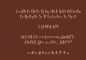 NCL MISTER GORGEOUS - Retro Script Handwritten Font