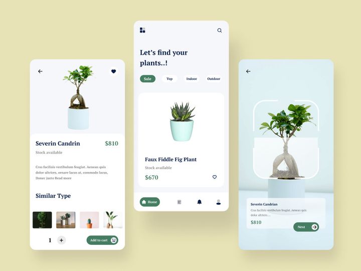 Find beautiful plants preview picture