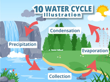 10 Water Cycle Earth Illustration preview picture