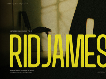 Ridjames | Condensed Vintage preview picture