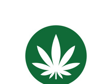 Canabis leaf logo and symbol vector