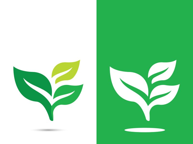 Logos of green tree leaf ecology nature element vector