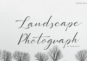 Sollutes Handy | Callighraphy Chic Font