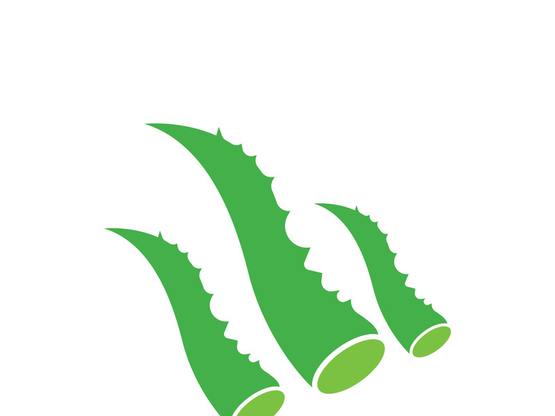 Aloe Vera logo icon design symbol beauty skin care