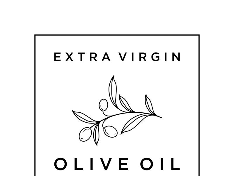 Hand drawn Botanical logo,leaf and natural olive fruit .Herbal, olive oil,cosmetic or beauty.Hand drawn Botanical logo,leaf and natural olive fruit .Herbal, olive oil,cosmetic or beauty.