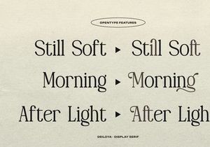 Deiloya | Classic Serif Typeface