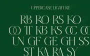 Grass - Serif Font