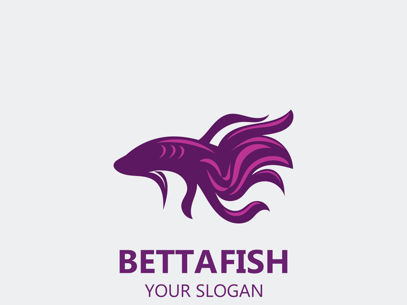 Betta fish modern logo style design vector image illustration