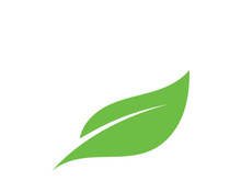 leaf logo green ecology nature element vector image