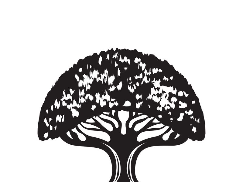 Root Leaf Family Tree of Life Oak Banyan Maple Stamp Seal Emblem Label logo design vector