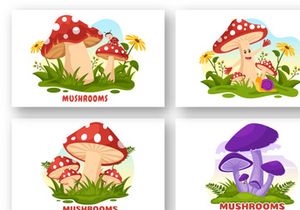 13 Mushrooms Design Illustration