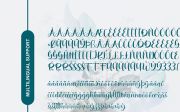 HALEEZA - Elegant Script Font