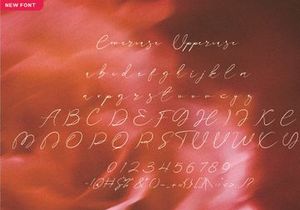 Dajestica Betamoora Script