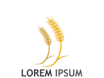 Organic wheat farm logo template. preview picture