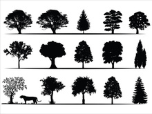 Trees Silhouettes Collection