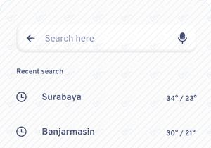 Weather APP UI Kit