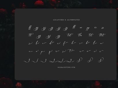 Avilantery | Elegant Calligraphy Script
