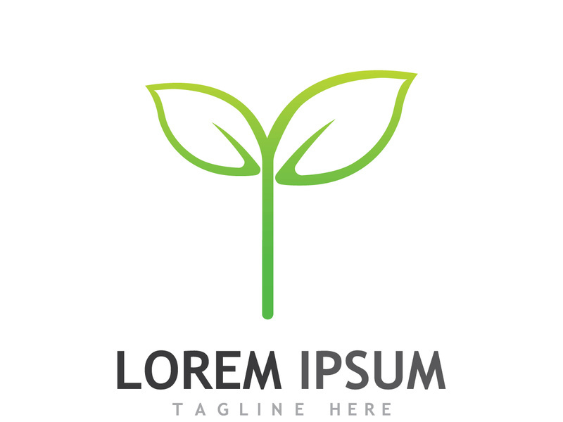 Colorful natural leaf logo design.