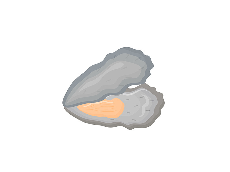 Opened oyster shell cartoon vector illustration