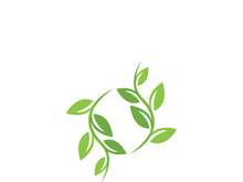 Logos of green tree leaf ecology nature element vector