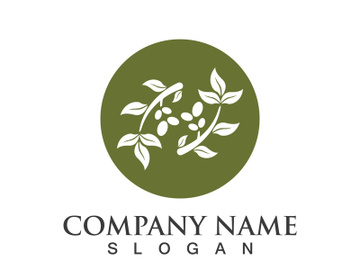 Extra virgin olive oil logo icon design vector illustration preview picture