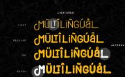 Black Burger Font Family