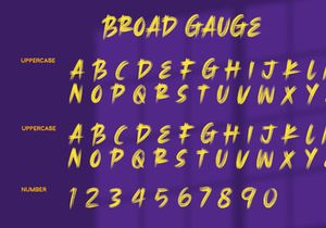 Broad Gauge - SVG Font