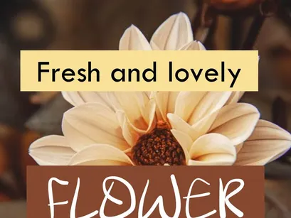 ALOJHA – Modern Casual Handwritten Font - (OTF)