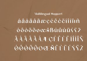 Geyster Modern/Vintage Font