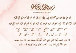 Western - Handbrush Script Font