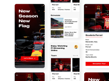 Carreras - F1 Streaming Mobile App preview picture