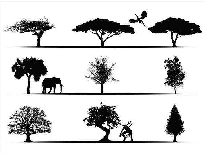Trees Silhouettes Collection