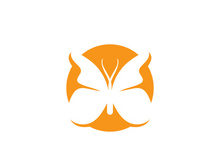 Butterfly icon design