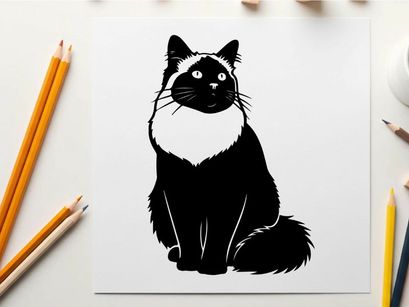 Silhouette of a sitting cat with white fur around neck