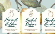 Delaghen - Handwritting Stylish Script Font