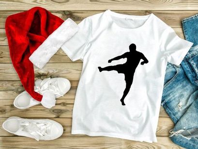 Martial arts silhouette of a person performing a kick