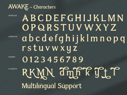 Awake - Serif Font